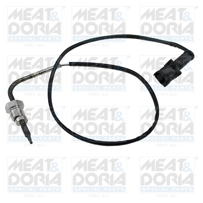 Sensor, exhaust gas temperature